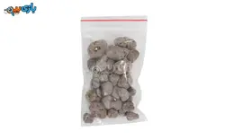 اسباب بازی آموزشی بسته گلدون کوچولو گیاه جوان