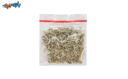 اسباب بازی آموزشی بسته گلدون کوچولو گیاه جوان