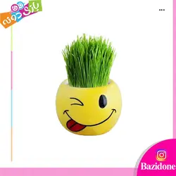 خرید سبزه عید مدل ایموجی - بازی دونه