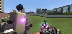 Garrys Mod