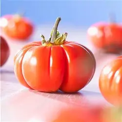 بذر بادمجان قرمز گرد