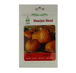 بذر کدو هالوین