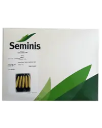 بذر ذرت شیرین مریت سمینیس