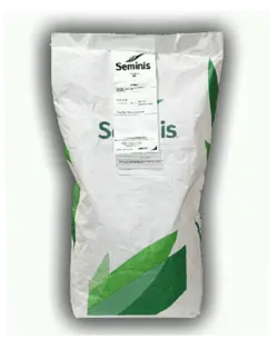 بذر نخود فرنگی اوتریلو سمینیس