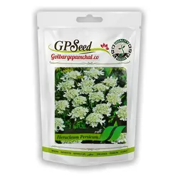 بذر گلپر جی پی سید