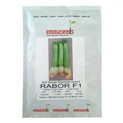 بذر کدو رابور F1 - بذر بازار کدو رابور محصول شرکت اماسیذز هلند است.