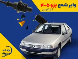 وایر پژو ۴۰۵ (پرتوناب ایرانی- درب کارخانه)