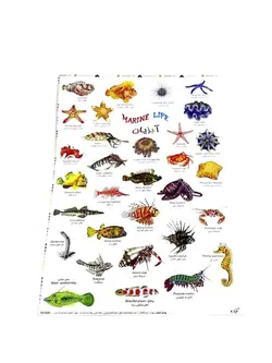 برچسب  آبزیان