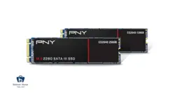 مشخصات ، قیمت و خرید هارد SSD PNY M2 256GB مدل CS2060