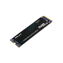 حافظه SSD پی ان وای CS1030 ظرفیت 250 گیگابایت