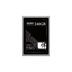حافظه SSD گلووی Stryker Series ظرفیت 240 گیگابایت