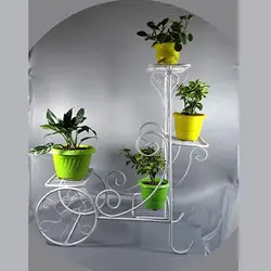 استند گل طرح کالسکه - فروشگاه اینترنتی ویلاسازه - سفارش ااینترنتی انواع جاگلدانی