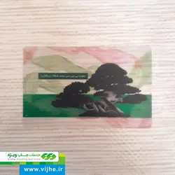کارت ویزیت (PVC) برفکی نیمه شفاف دورگرد بزرگ