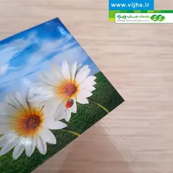 کارت ویزیت گلاسه با روکش UV