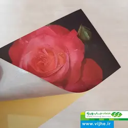 لیبل کاغذی سلفون مات