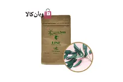 ماسک پودری‌ آدامسی و لاتکسی عصاره اکالیپتوس برند Sun ساخت کره