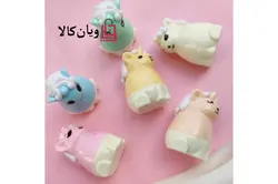 بالم لب یونیکورن