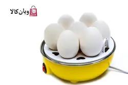 تخم مرغ پز دسینی مدل Dessini 110