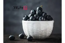 ماسک پودری آدامسی و لاتکسی عصاره بلوبری برند Sun ساخت کره