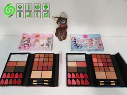 پالت سایه چندکاره کیفی