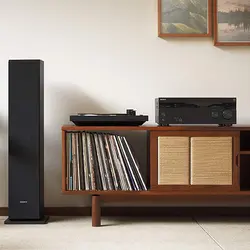 پخش کننده خانگی سونی مدل PS-LX310BT