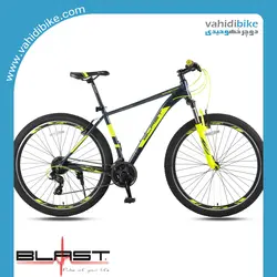 دوچرخه 29 بلست مدل MOMENTUM دلفینی سبز