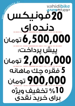 دوچرخه 20 فونیکس حرفه ای مدل ZK100