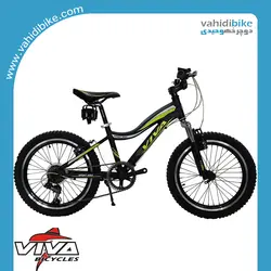 دوچرخه 20 ویوا حرفه ای مدل BATMAN
