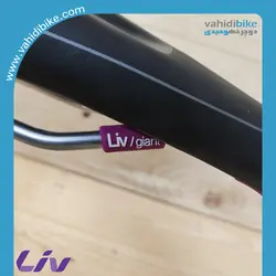 زین دوچرخه لیو مدل 1225