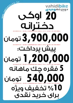 دوچرخه 20 اوکی دخترانه مدل 950 صورتی