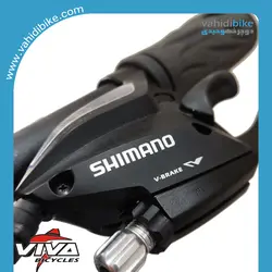 دوچرخه 29 ویوا مدل RATLER