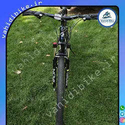 دوچرخه 29 کافیدیس مدل C300 سرمه ای سبز