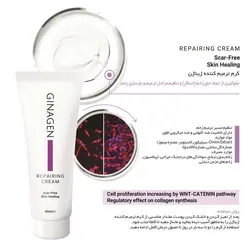 کرم مناسب پوست های آسیب دیده ژیناژن Ginagen