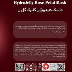 ماسک هیدروژلی عصاره گلبرگ گل رز هایلایف High life حجم 300 گرم
