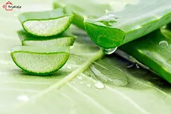ژل آبرسان پوست صورت و بدن آلوئه ورا حجم 250 میلی لیتر
