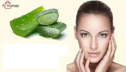 ماسک پودری لاتکسی با عصاره الوئه ورا حجم 200 گرم