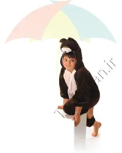 تن پوش خرس