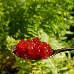 مربای زرشک یک کیلو