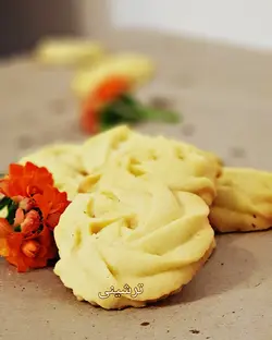 کوکی وانیلی500 گرمی