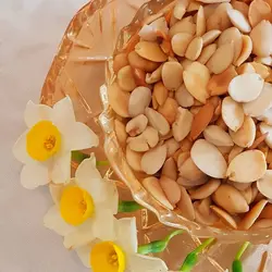 هسته زردالو یک کیلو