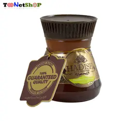 عسل کنار هدیش حجم 500 گرم