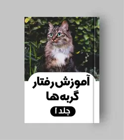 کتاب آموزش رفتار با گربه ها