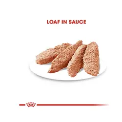 سوپ سگ دایجستیو رویال کنین