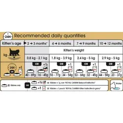 غذای خشک بچه گربه (کیتن) پرشین رویال کنین _ 10kg