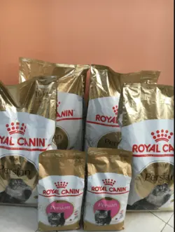 غذای خشک بچه گربه (کیتن) پرشین رویال کنین _ 10kg