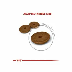 غذای خشک گربه دایجستیو رویال کنین _ 10kg