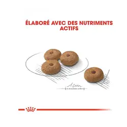 غذای خشک سگ مدیوم استرلایز عقیم شده رویال کنین