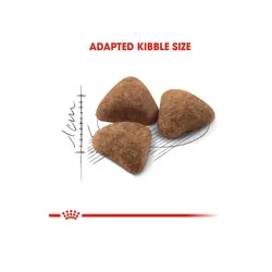 غذای خشک گربه رویال کنین ایندور _ 4kg
