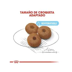 غذای خشک سگ رویال کنین مکسی استارتر _ 15kg
