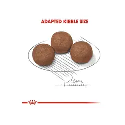 غذای خشک سگ مدیوم پاپی رویال کنین _ 10kg